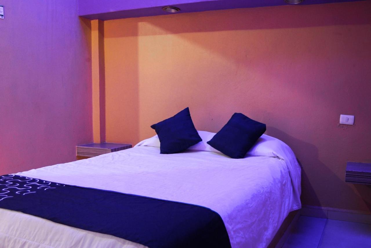 Hotel Oasis Monterrey Extérieur photo